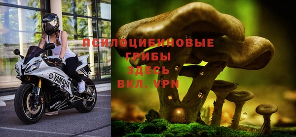эйфоретик Нея