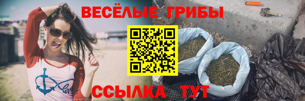 Псилоцибиновые грибы Cubensis Клин