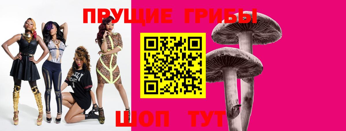 Галлюциногенные грибы мицелий  Вход с VPN  Галлюциногенные грибы прущие грибы  Клин 