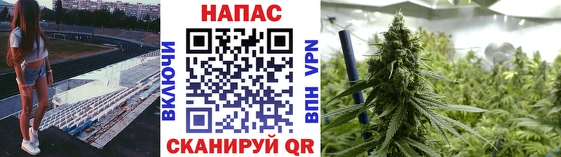 Каннабис THC 21% MEGA зеркало Клин