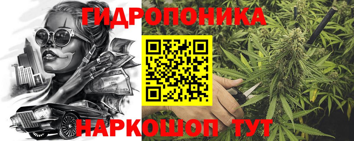 Клин  Канабис OG Kush  Конопля конопля  Вход с VPN 